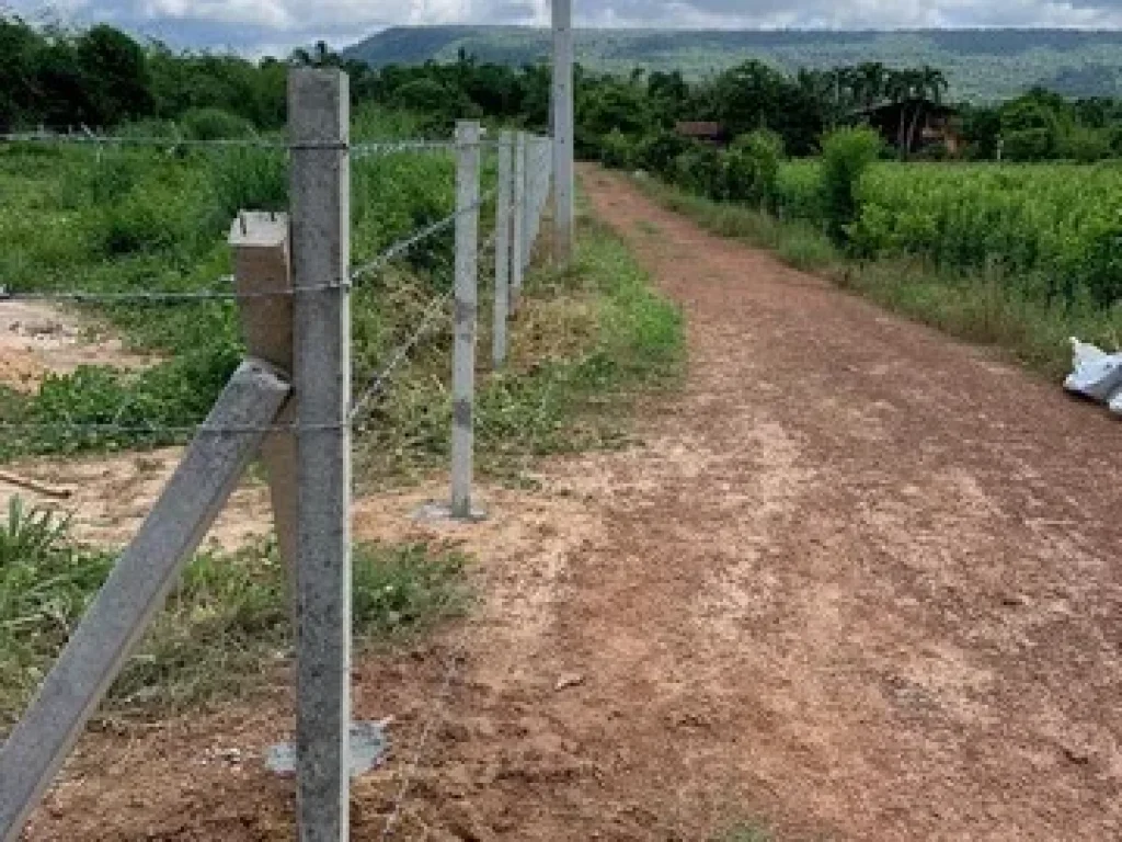 ขายด่วน ที่ดิน 1 ไร่ ตเนินหอม อเมืองปราจีน จปราจีนบุรี โฉนดครุฑแดงพร้อมโอน