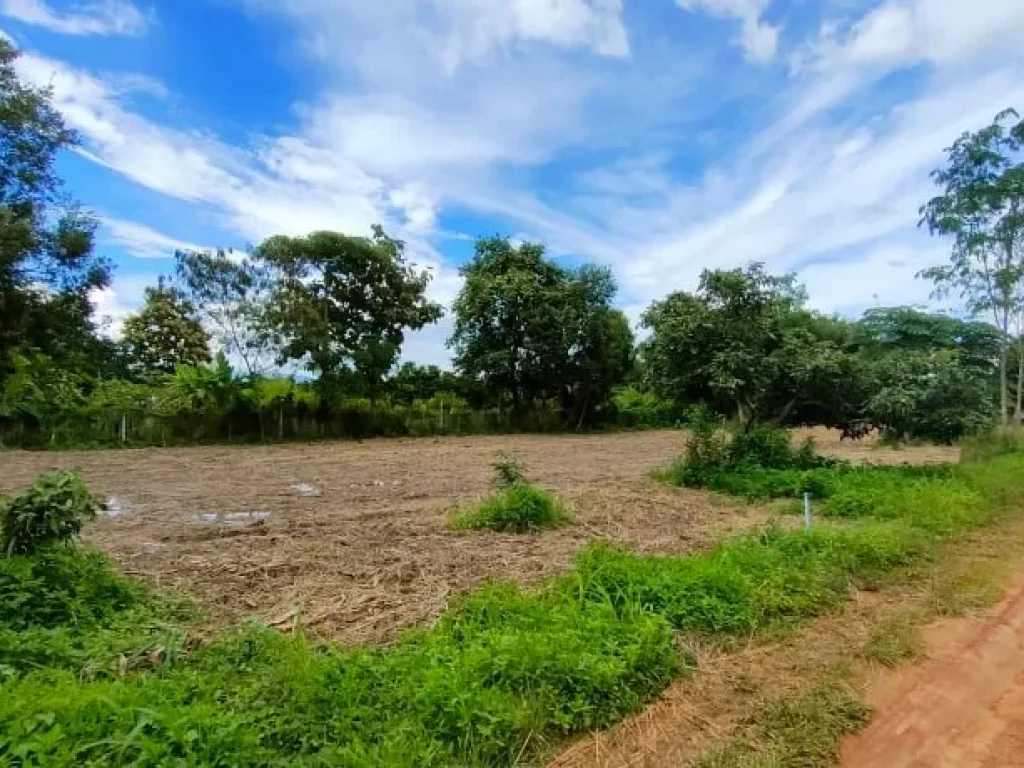 ขายที่ดินบ้านต้นส้าน ตสันทราย อฝาง จเชียงใหม่ 1 ไร่ 714 ตรว ติดถนนซอย