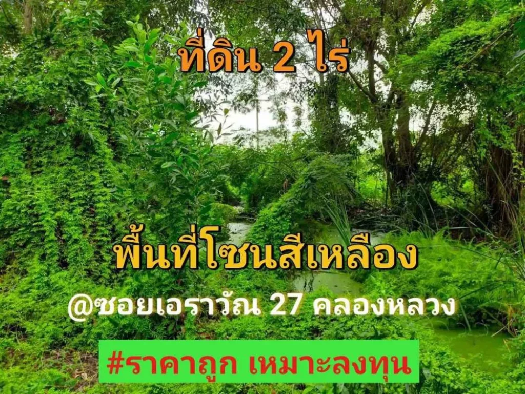 ขายต่ำกว่าตลาด ที่ดิน 2 ไร่ ราคาถูกเหมาะลงทุน ซอยเอราวัณ 27 อคลองหลวง จปทุมธานี