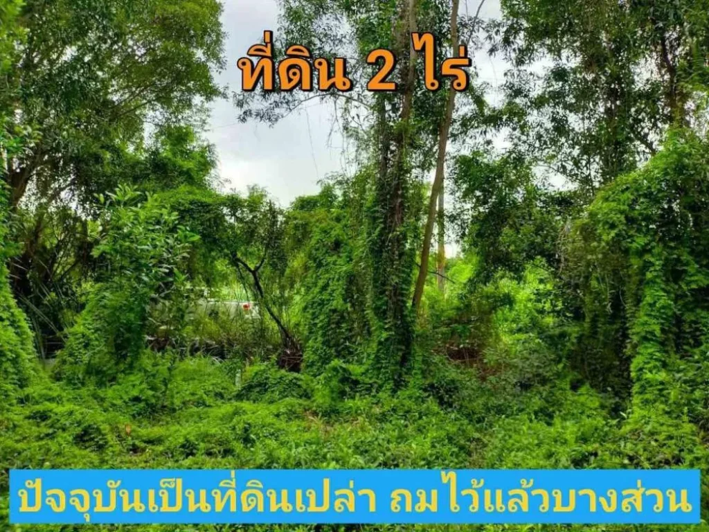 ขายต่ำกว่าตลาด ที่ดิน 2 ไร่ ราคาถูกเหมาะลงทุน ซอยเอราวัณ 27 อคลองหลวง จปทุมธานี