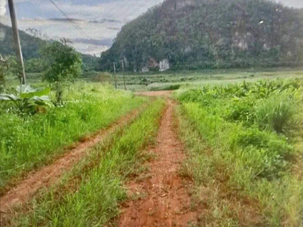 ขายที่ดินติดทะเลสาบ สันเขื่อนแม่งัด อพร้าว จเชียงใหม่