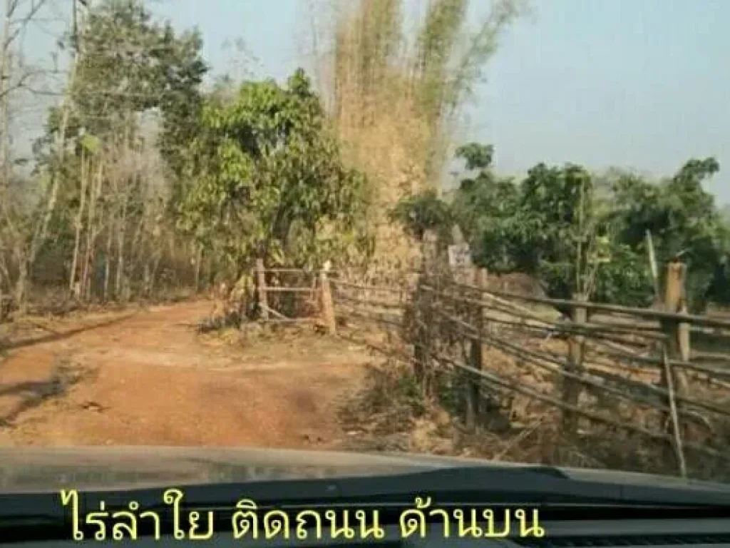 ขายที่ดินสวนลำใยราคาถูก อำเภอภูกามยาว จังหวัดพะเยา