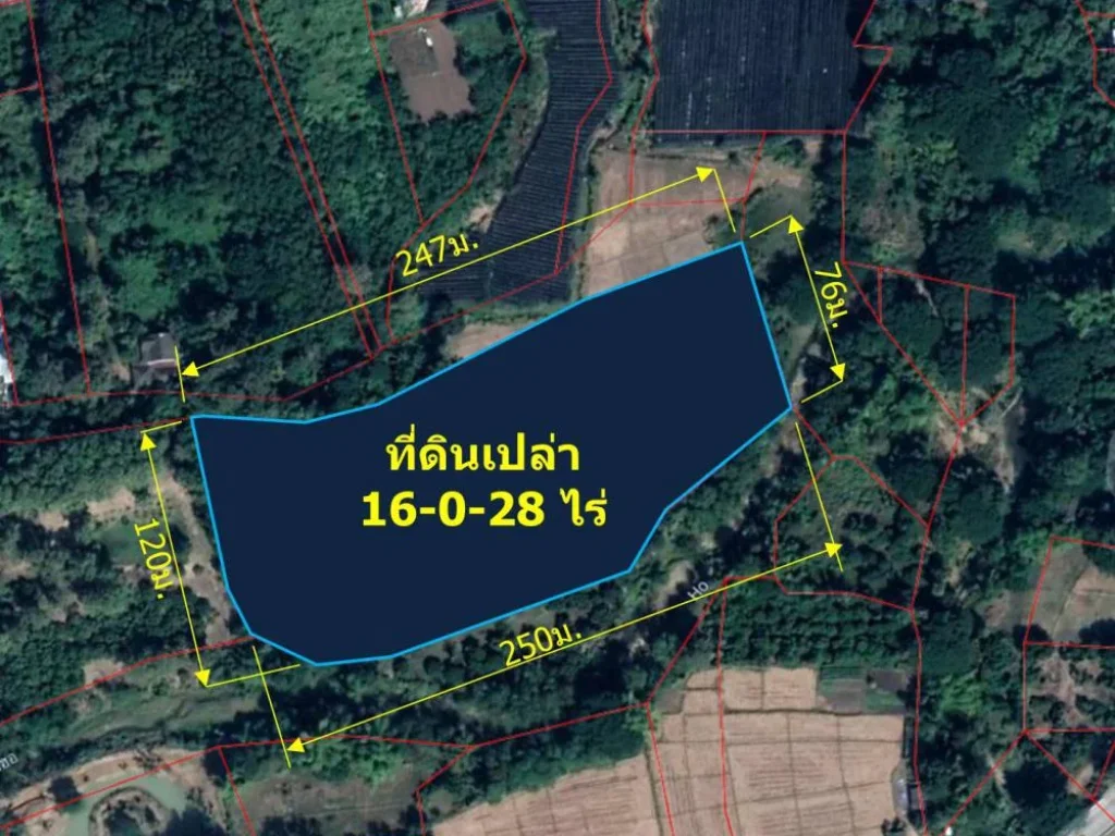 ขายที่ดินเปล่า 16-0-28 ไร่ ใกล้ถนนร้องวัวแดง 1006 ตร้องวัวแดง อสันกำแพง