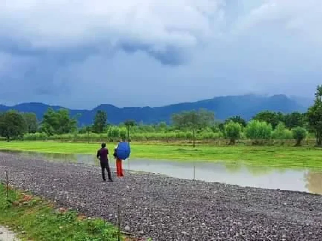 ที่แปลงนี้รอให้คุณได้สัมผัสกับธรรมชาติที่แท้จริง สวยมากๆล้อมรอบด้วยภูเขา360°