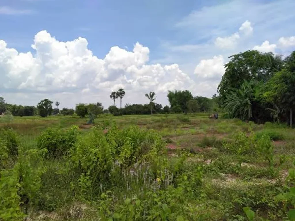 ทางหลวงหมายเลข 2 ถนนมิตรภาพ ที่ดิน 2-2-67 THB10000000 ตนาพู่ อเพ็ญ จอุดรธานี