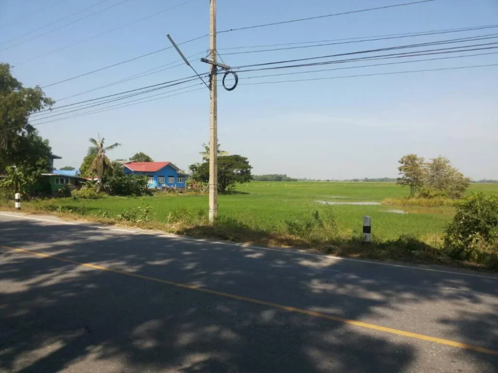 ที่นาติดถนนอุทัย-หนองตะโล่ใกล้นิคมโรจนะแปลงสวยทำเลดี