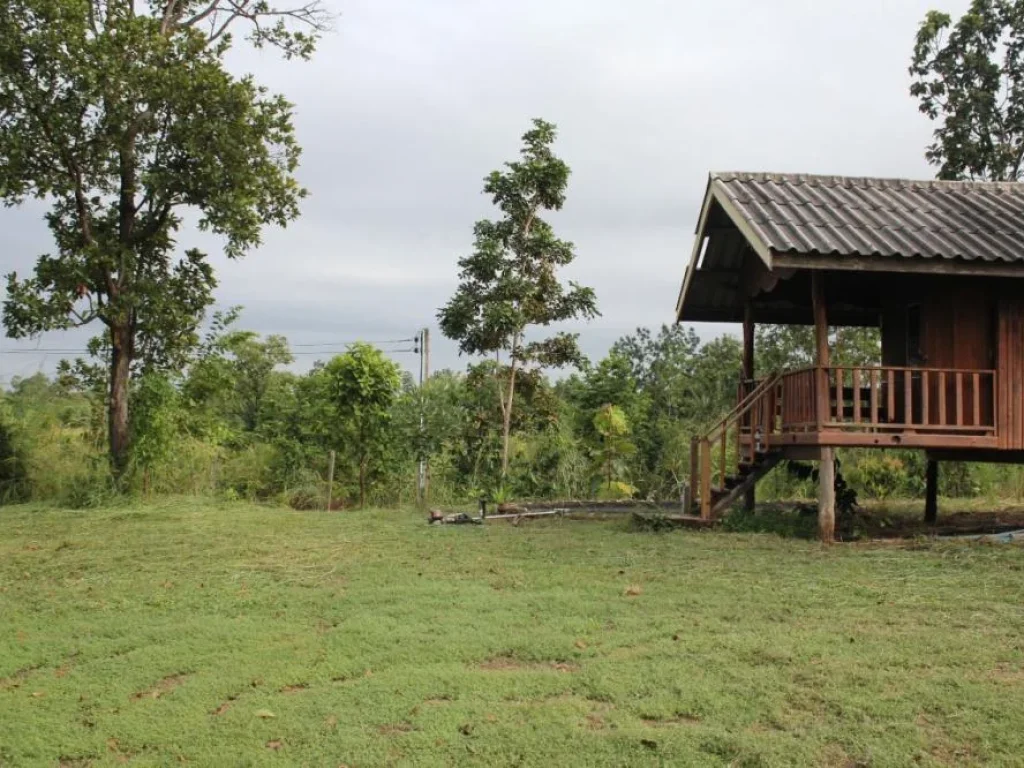 ขายที่ดินทำเลดี ตำบลนาฝาย อำเภอเมือง จังหวัดชัยภูมิ