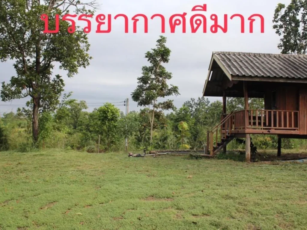 ขายที่ดินทำเลดี ตำบลนาฝาย อำเภอเมือง จังหวัดชัยภูมิ