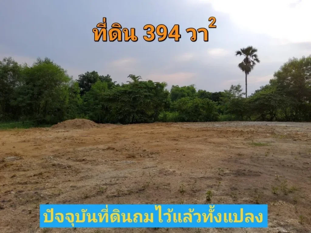 ขายที่ดินหนองเพรางาย 394 ติดถนนคอนกรีต เคหะ-บ้านใหม่ซอย3 อไทรน้อย จนนทบุรี