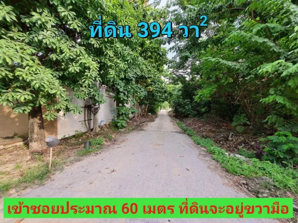 ขายที่ดินหนองเพรางาย 394 ติดถนนคอนกรีต เคหะ-บ้านใหม่ซอย3 อไทรน้อย จนนทบุรี