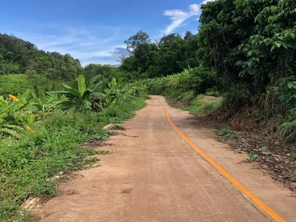 ขายที่ดินติดลำเหมือง ตสะเมิงใต้ อสะเมิง จเชียงใหม่