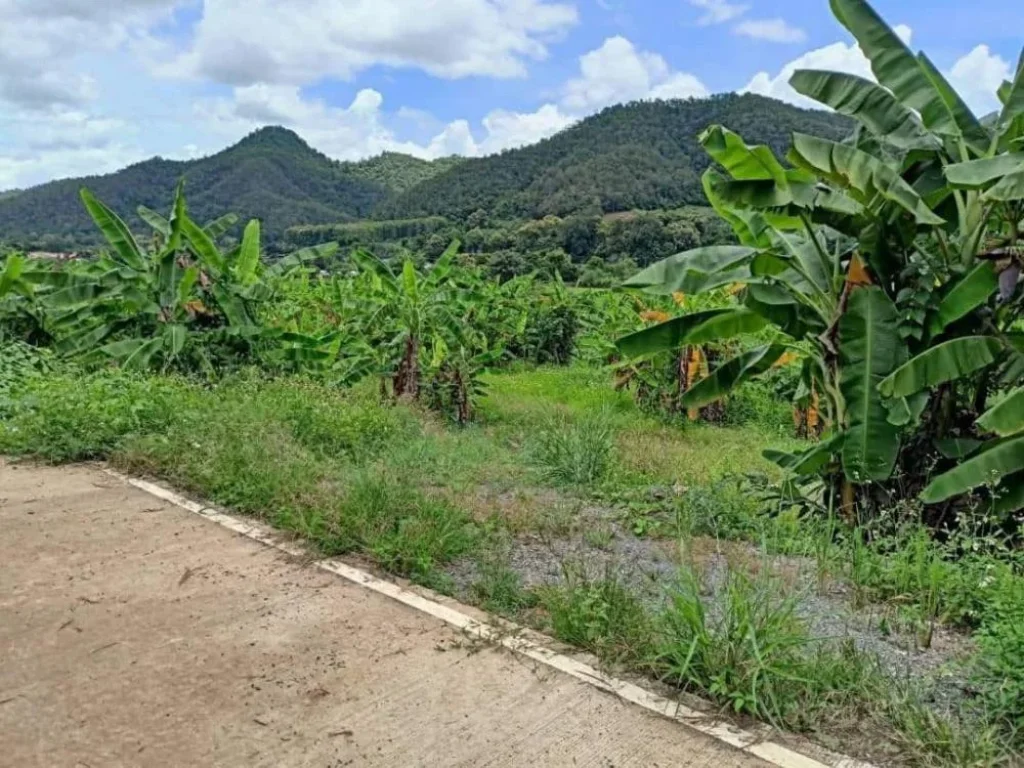 ขายที่ดินติดลำเหมือง ตสะเมิงใต้ อสะเมิง จเชียงใหม่