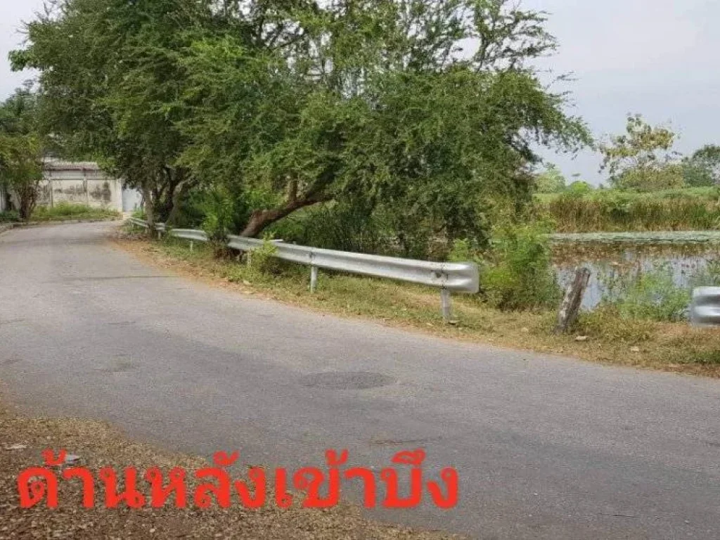 ขายที่ดิน บรรยากาศดี อยู่ติดถนน 4 เลน ติดบึงกระจับ บ้านโป่ง ราชบุรี