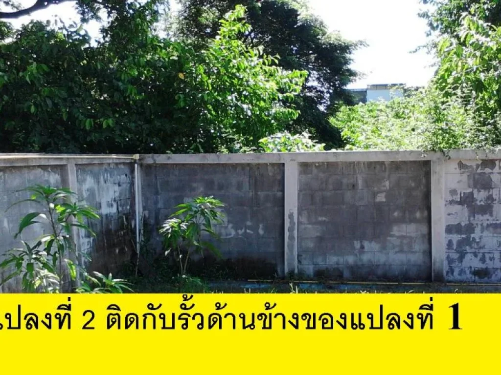 ขายที่ดินยกแปลง 2 แปลง ติดถนนเทวาภิบาล อำเภอเมือง ร้อยเอ็ด