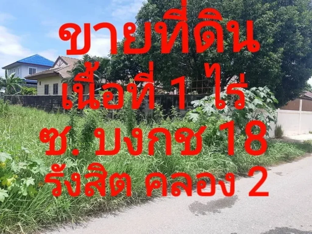 ขายที่ดิน 1 ไร่ ซอยบงกช 18 รังสิต คลองสอง ใกล้วัดกล้าชอุ่ม