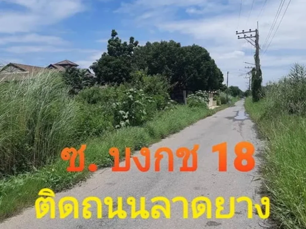 ขายที่ดิน 1 ไร่ ซอยบงกช 18 รังสิต คลองสอง ใกล้วัดกล้าชอุ่ม