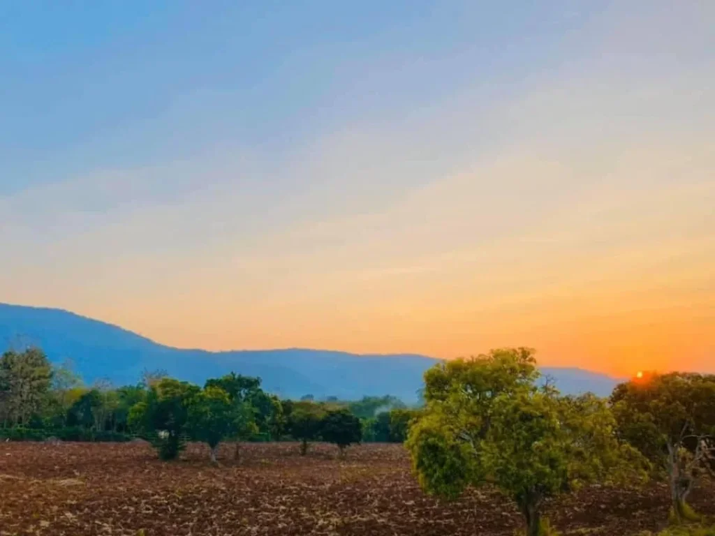 ขายที่ดินวิวอุทยานแห่งชาติเขาใหญ่ 1 ไร่ อหมูสี ปากช่อง เหมาะทำบ้านพัก รีสอร์ท ขายถูก แบ่งขายได้ ใกล้ถนน วังน้ำเขียว-เขาใหญ่ เพียง 1กม