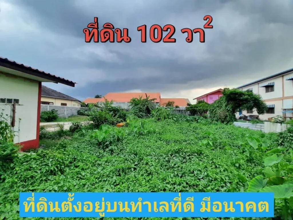 ขายที่ดินคลองสาม 102 ตารางวา ติดถนนคอนกรีตสาธารณะ เหมาะสร้างบ้าน อคลองหลวง จปทุมธานี