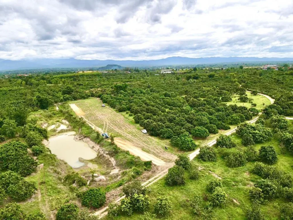 ที่ดินลำพูนแบ่งขาย บรรยากาศดี วิวสวย ที่สูง น้ำไม่ท่วม ดินดีไม่ต้องถม