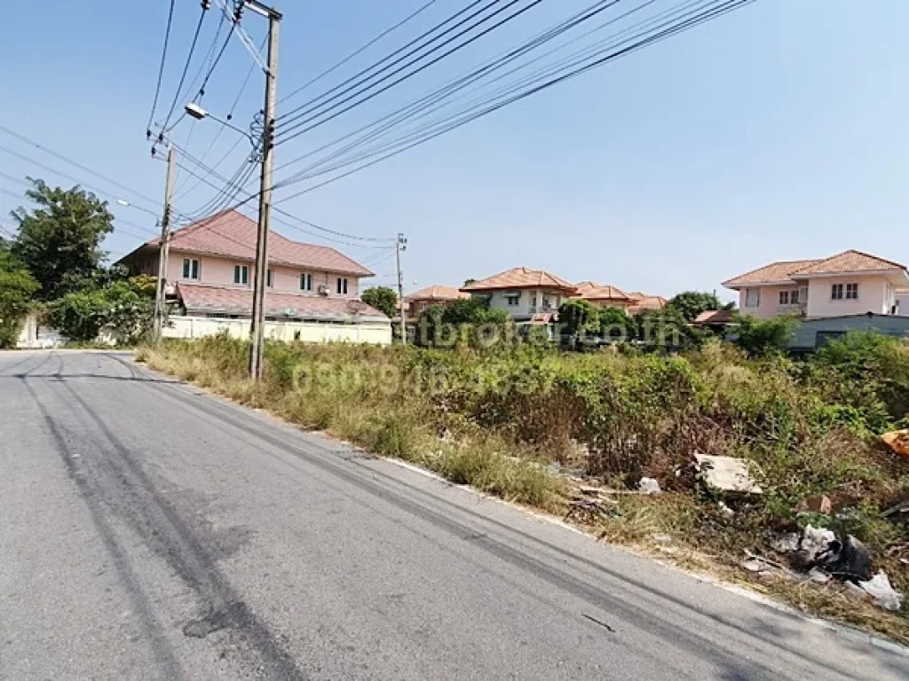 ขาย ที่ดินแปลงมุม 100 ตรว ทำเลดี ซลำโพ 21 อบางบัวทอง จนนทบุรี