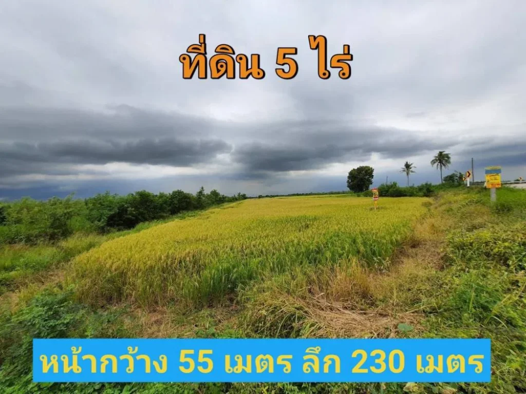 ขายที่ดินตำบลขุนศรี 5 ไร่ วิวทุ่งนา ติดถนนคอนกรีตนบ3017 อไทรน้อย จนนทบุรี