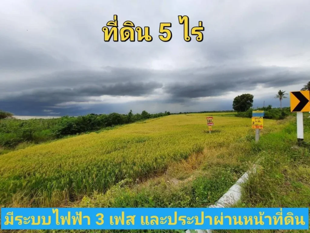 ขายที่ดินตำบลขุนศรี 5 ไร่ วิวทุ่งนา ติดถนนคอนกรีตนบ3017 อไทรน้อย จนนทบุรี