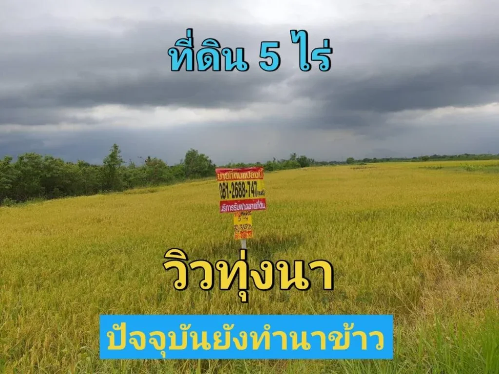 ขายที่ดินตำบลขุนศรี 5 ไร่ วิวทุ่งนา ติดถนนคอนกรีตนบ3017 อไทรน้อย จนนทบุรี