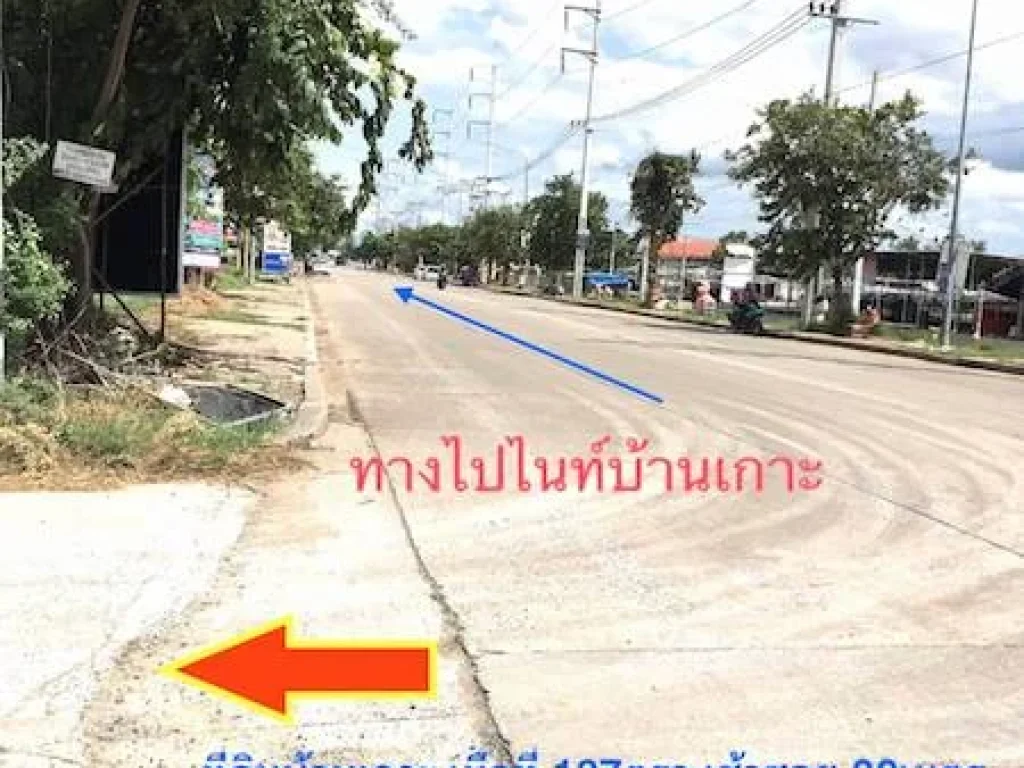 ขายที่ดิน 137ตรวบ้านเกาะ ใกล้ห้างเซ็นทรัลนครราชสีมา