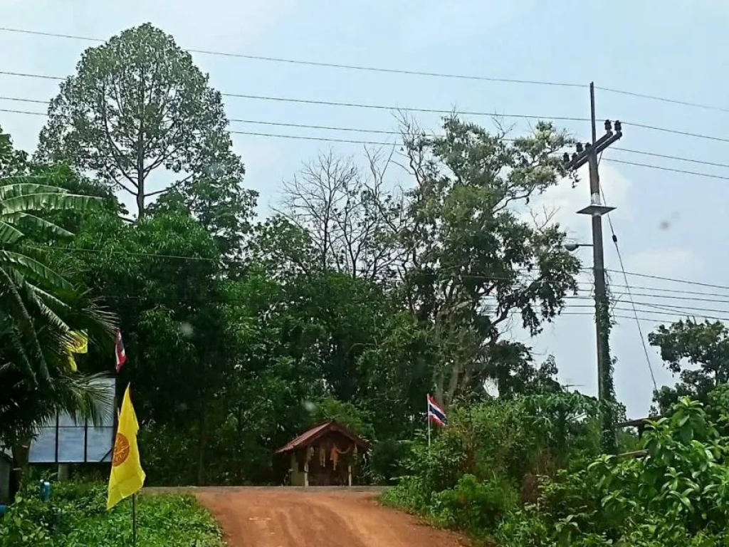 ขายที่ดิน บรรยากาศดี ดินดี โฉนดติดถนนสาธารณะประโยชน์