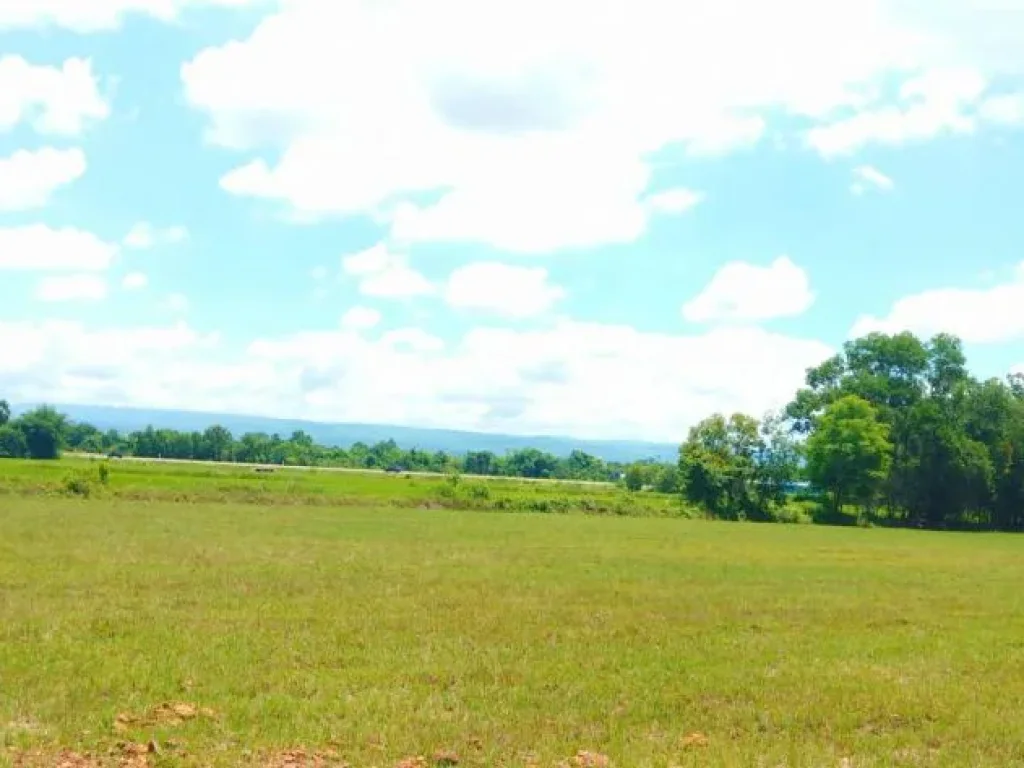 ที่ดินแบ่งขายราคาไม่แพง ทำเลดีเยี่ยมติดถนนตัดใหม่ อเมือง ปราจีนบุรี