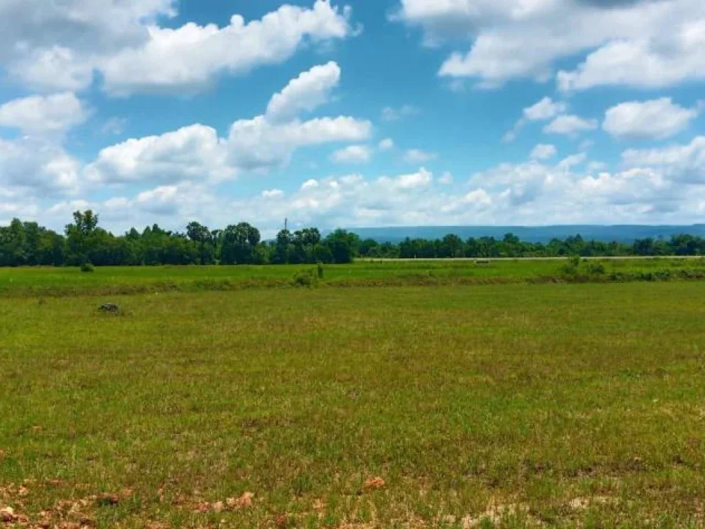 ที่ดินแบ่งขายราคาไม่แพง ทำเลดีเยี่ยมติดถนนตัดใหม่ อเมือง ปราจีนบุรี