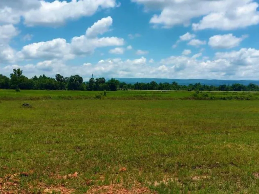 ที่ดินแบ่งขายราคาไม่แพง ทำเลดีเยี่ยมติดถนนตัดใหม่ อเมือง ปราจีนบุรี