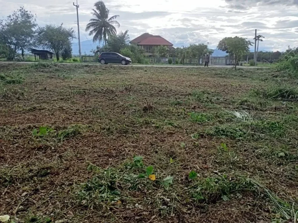 ที่ดินเปล่าติดริมทุ่ง ถนนเรียบคลองชลประทาน ค้าขายได้ ทำบ้านดี