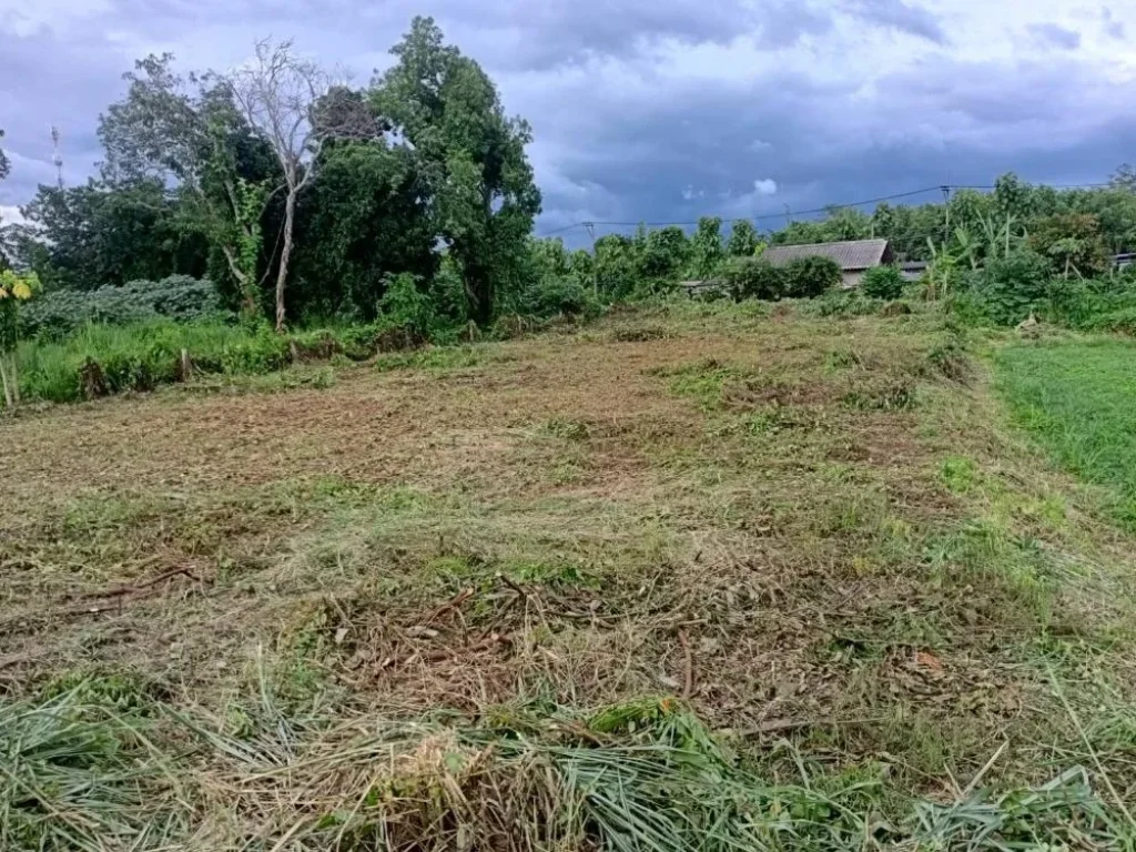 ที่ดินเปล่าติดริมทุ่ง ถนนเรียบคลองชลประทาน ค้าขายได้ ทำบ้านดี