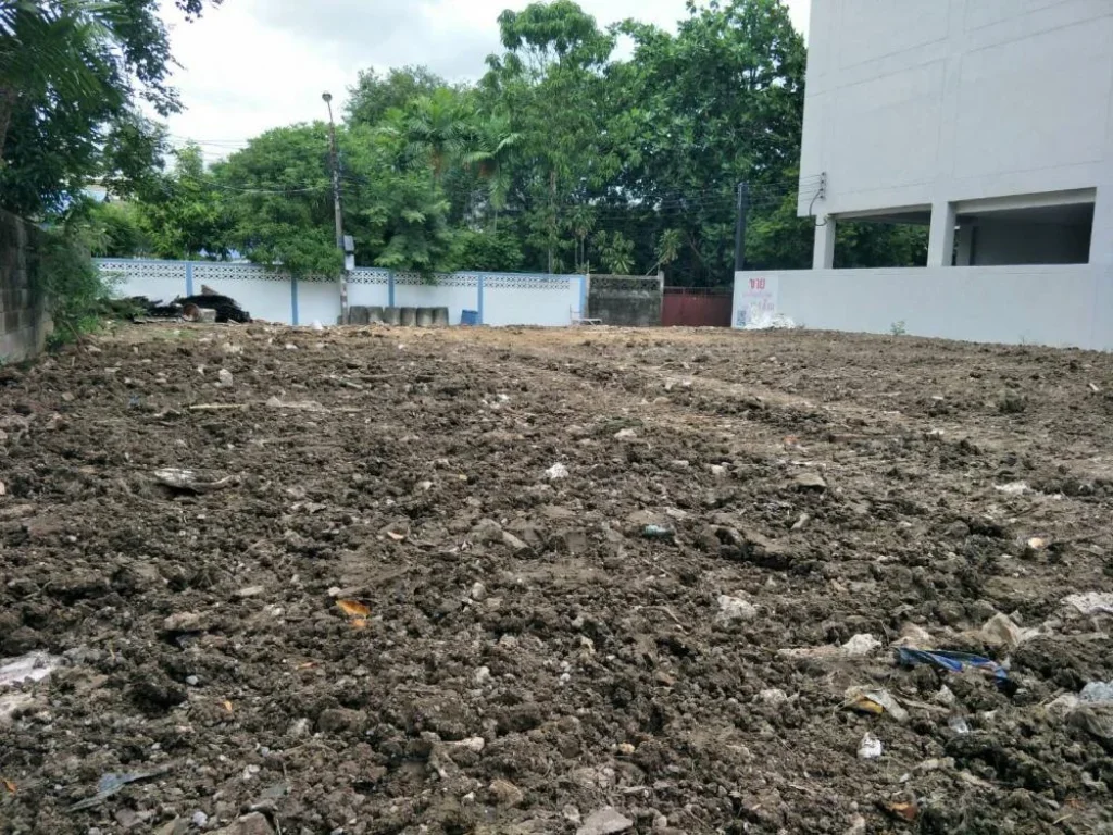 ขายที่ดิน เปล่า ถนนสุขุมวิท1011 ซอย วชิรธรรม 44 บางจาก พระโขนง กรุงเทพฯ