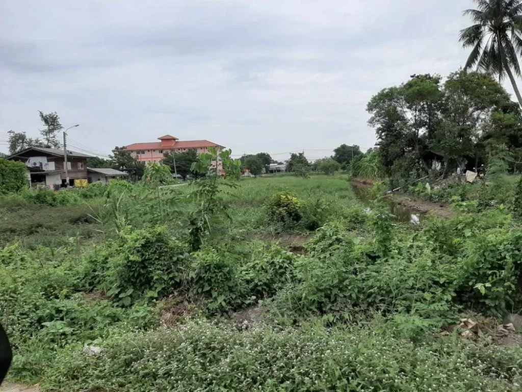 ขายที่ดินติดถนน ซอยวัดหลังบาง ตบางแม่นาง อบางใหญ่ จนนทบุรี