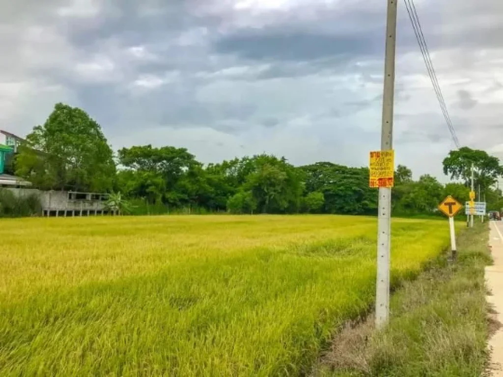 ขายที่ดิน 2 ไร่ แบ่งได้ ติดถนนคอนกรีต ตหนองเพรางาย อไทรน้อย จนนทบุรี