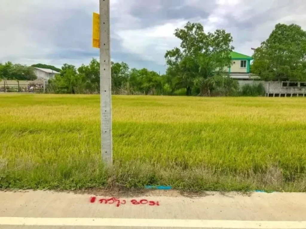 ขายที่ดิน 2 ไร่ แบ่งได้ ติดถนนคอนกรีต ตหนองเพรางาย อไทรน้อย จนนทบุรี