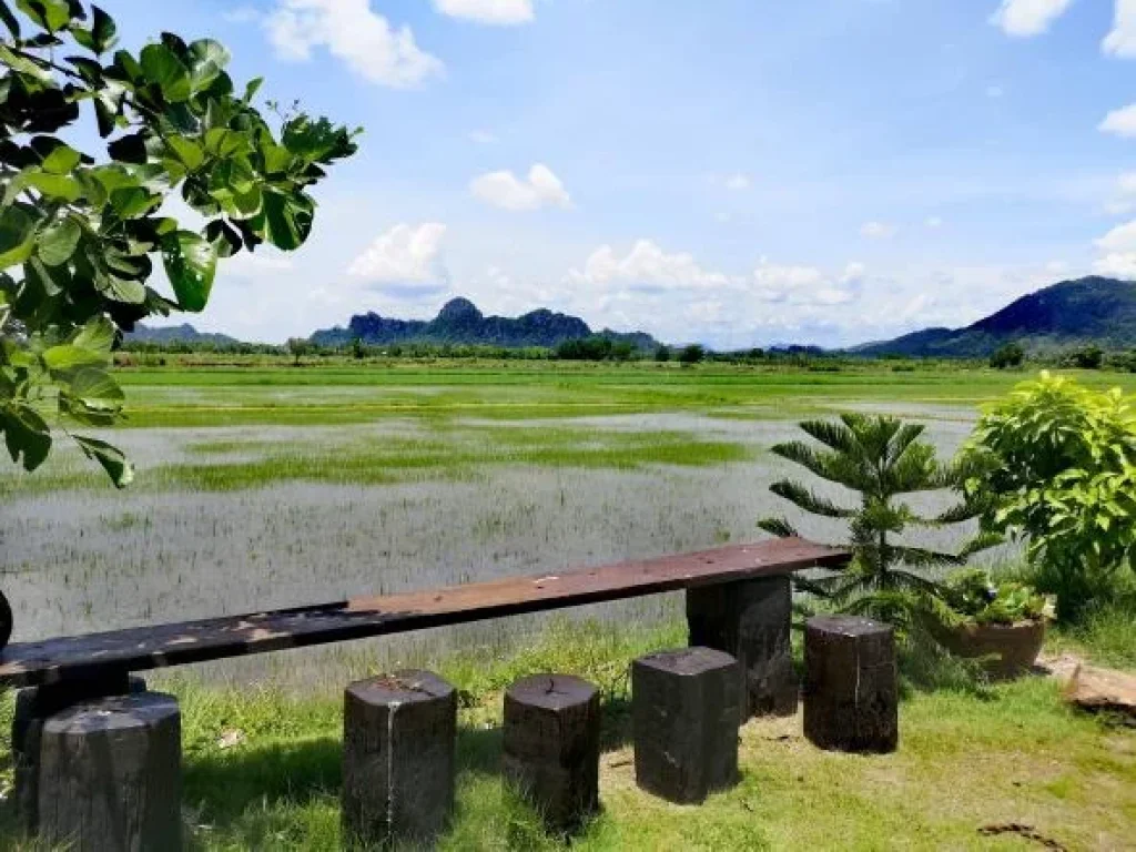 ขายด่วนต่ำกทุนที่ดินพร้อมร้านคาเฟ่วิวธรรมชาติบรรยากาศดี