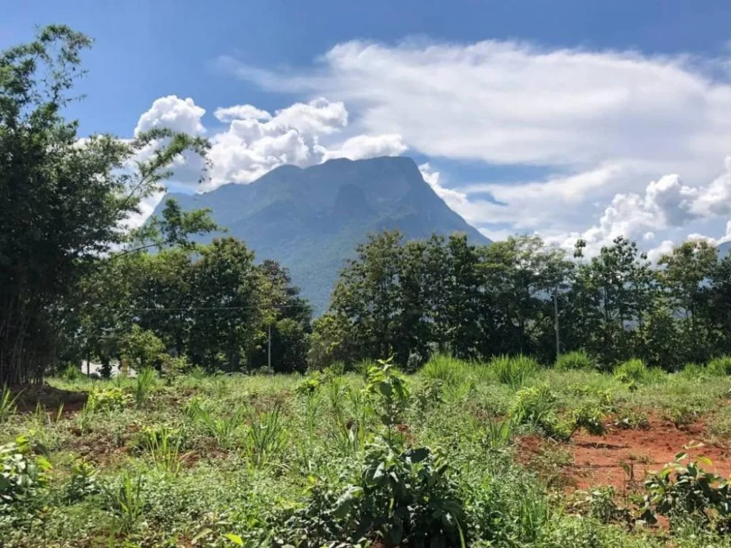 ขายที่ดินติดถนนหลัก วิวภูเขาดอยหลวง สวยมากและหายากใกล้ถ้ำเชียงดาว เชียงใหม่