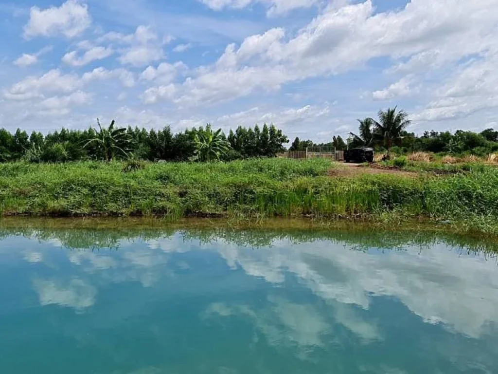 ที่ดินแบ่งแปลงคลอง 14 หนองเสือ จปทุมธานี เหมาะทำบ้านสวนเกษตร