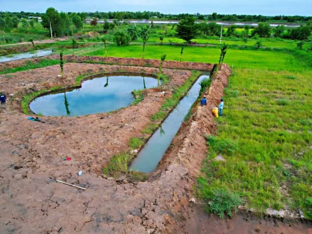 ที่ดินแบ่งแปลงคลอง 14 หนองเสือ จปทุมธานี เหมาะทำบ้านสวนเกษตร