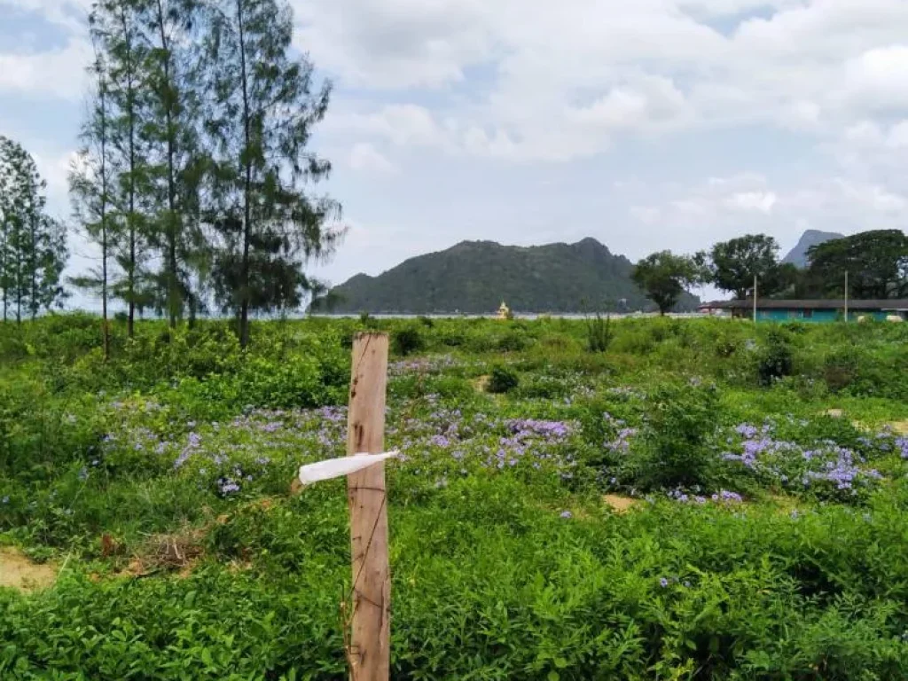 ขายที่ดินติดชายทะเล 15-1-34 ไร่ ใกล้สถานีรถไฟคั่นกระได ตอ่าวน้อย อเมือง จประจวบ