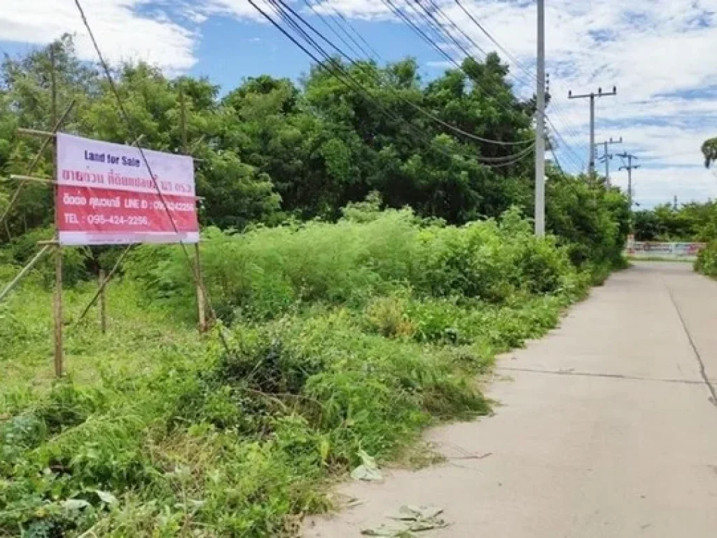 ขาย ที่ดินถมแล้วแปลงมุม 2 แปลงติดกัน 1291 ตรว ถเพชรเกษม ปราณบุรี ประจวบคีรีขันธ์