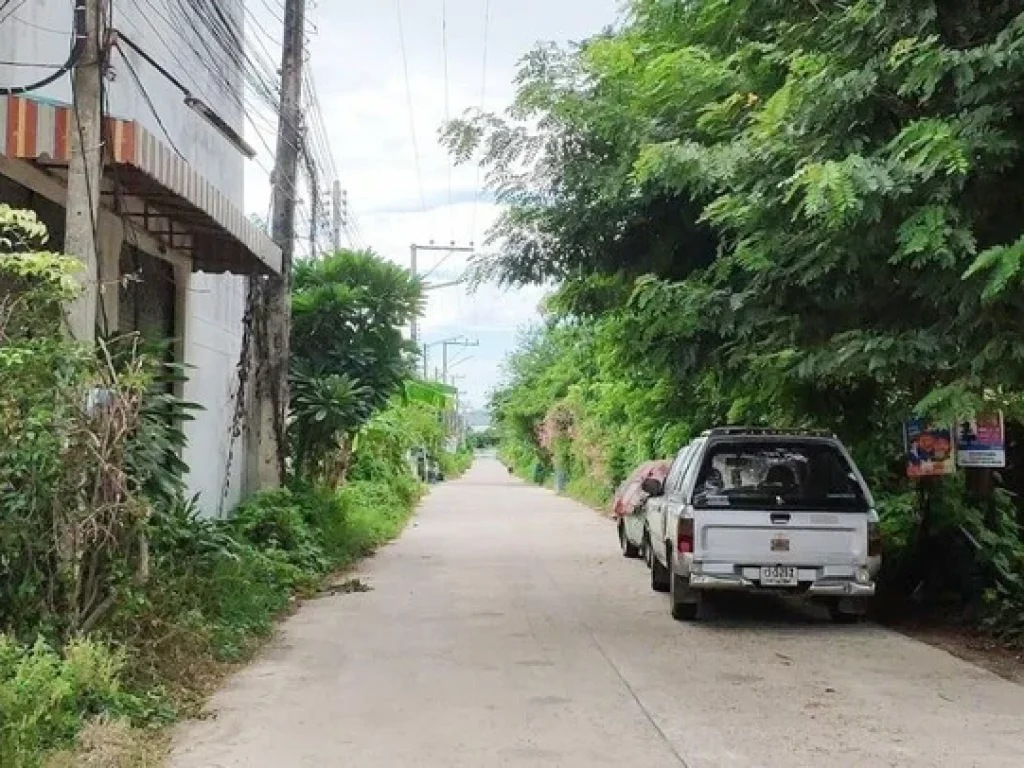 ขาย ที่ดินถมแล้วแปลงมุม 2 แปลงติดกัน 1291 ตรว ถเพชรเกษม ปราณบุรี ประจวบคีรีขันธ์