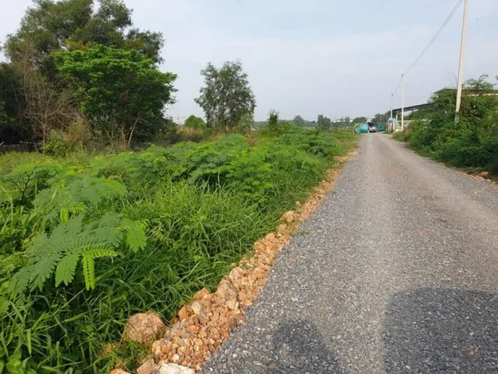 ขายด่วน ที่ดิน 100 ตรว ซคลองสาม 811 ใกล้วัดพระธรรมกาย ซอยตรงข้าม อบตคลองสาม