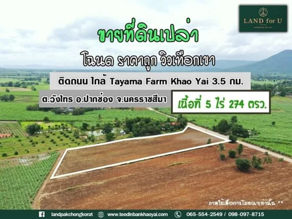 ขายที่ดินติดถนนราคาถูก ขายที่ดินปากช่องเขาใหญ่-บ้านคลองม่วง ใกล้TayamaFarmKhaoYai 35 กม