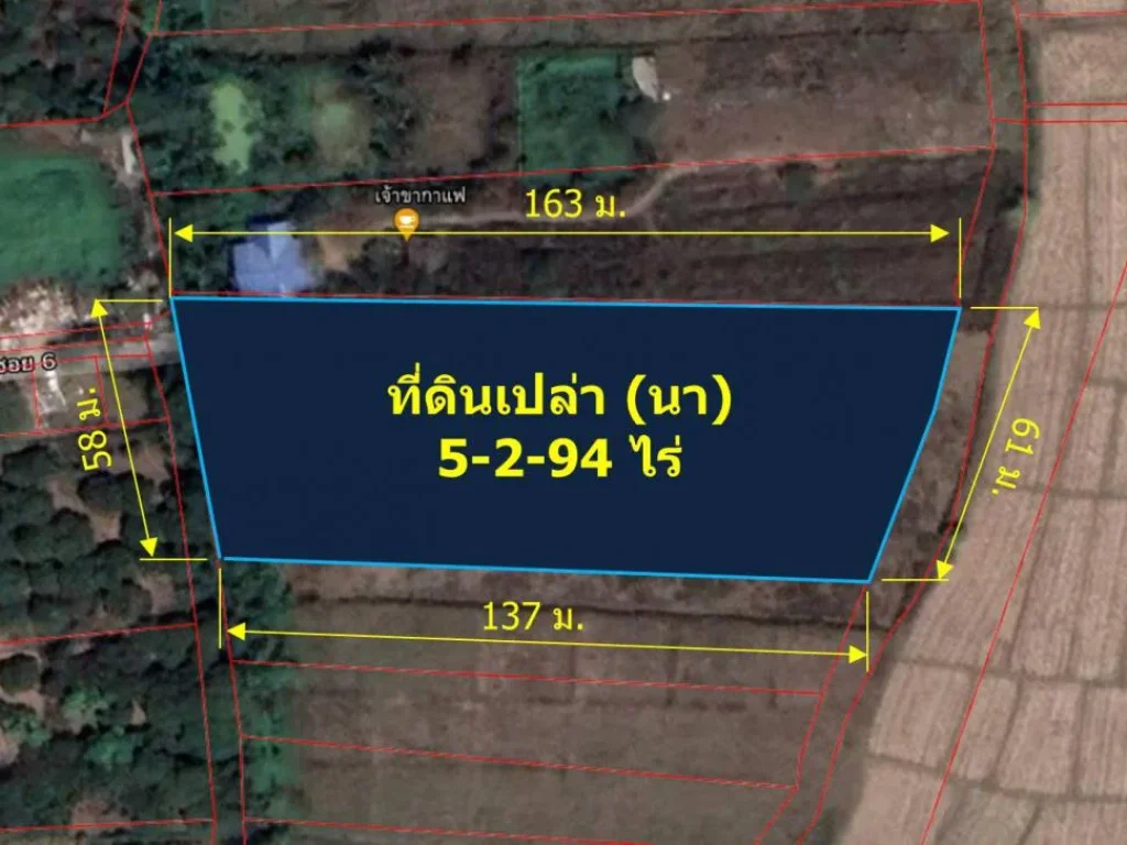 ขายที่นา 5-2-94 ไร่ ตร้องวัวแดง อสันกำแพง จเชียงใหม่