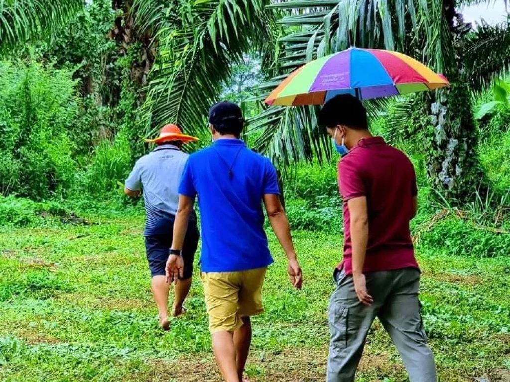 แปลงริมแม่น้ำเพชร4 ที่ดินติดริมแม่น้ำ ทำเลธรรมชาติที่ทุกคนใฝ่หา