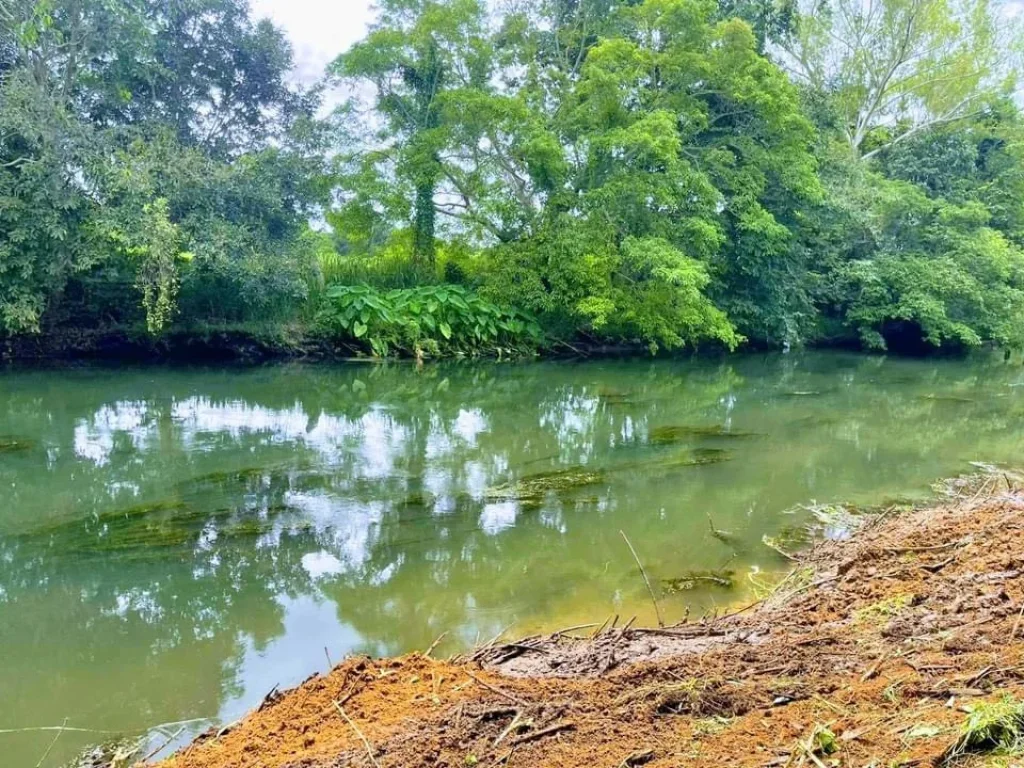 แปลงริมแม่น้ำเพชร4 ที่ดินติดริมแม่น้ำ ทำเลธรรมชาติที่ทุกคนใฝ่หา